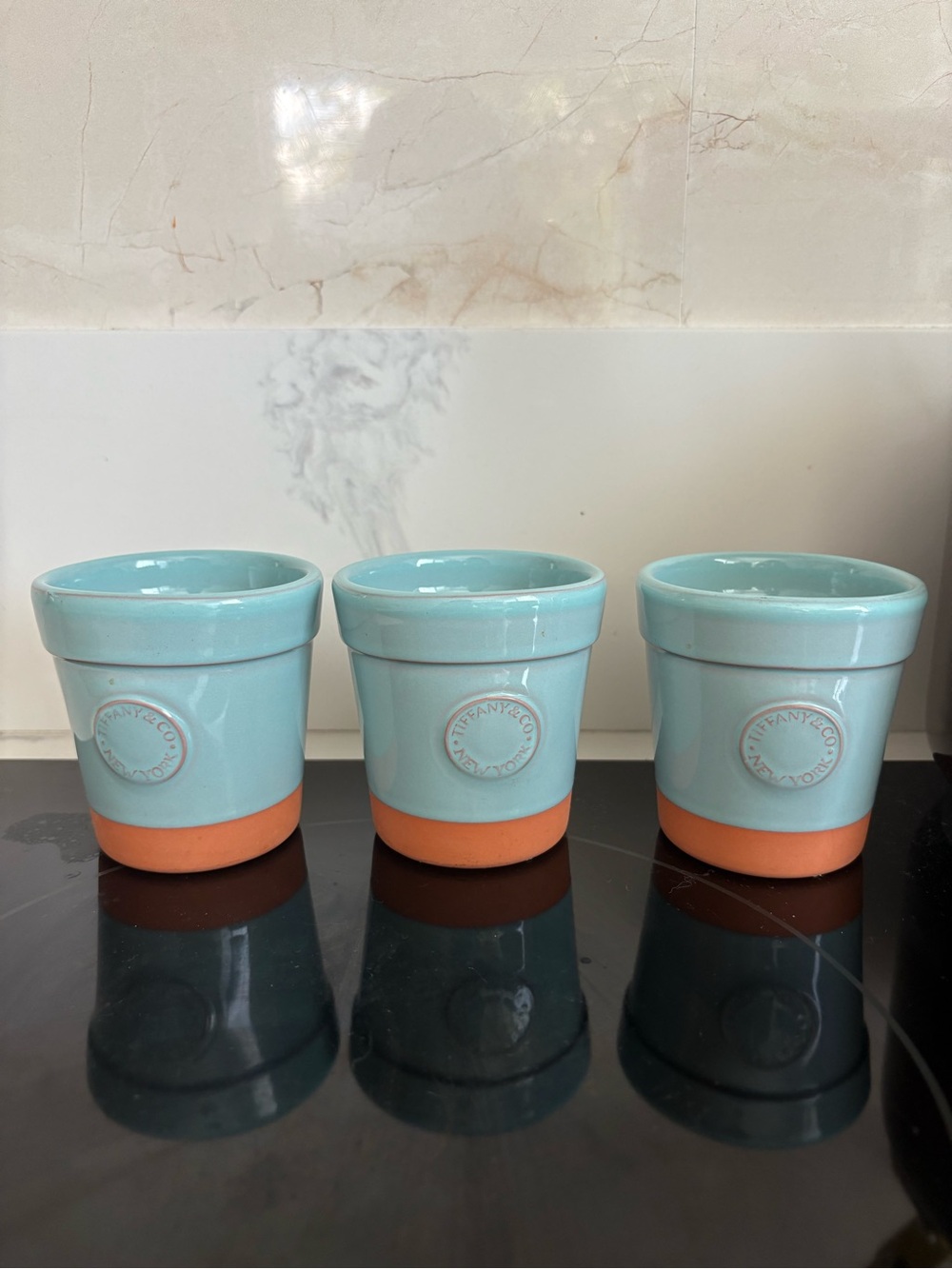 Tiffany & Co. Ceramic Flower Pots with Embossed Logo - Limited Edition